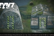 31615DayZTips105GreenHousesTypes