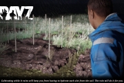 62819DayZTips96HarvestRain