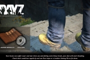 32800DayZTips66WastedBoots