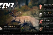 47585DayZTips14AnimalSkinning